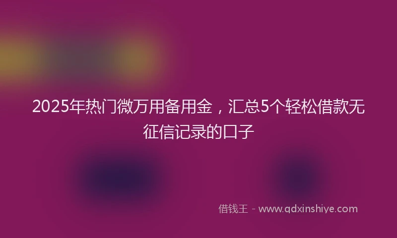 2025年热门微万用备用金，汇总5个轻松借款无征信记录的口子