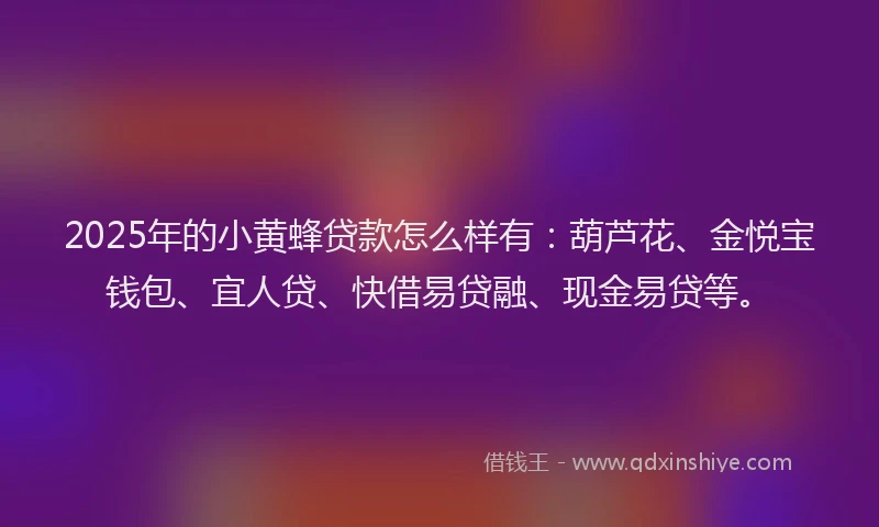 2025年的小黄蜂贷款怎么样有：葫芦花、金悦宝钱包、宜人贷、快借易贷融、现金易贷等。