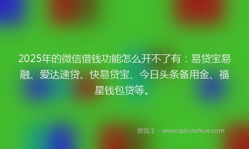 2025年的微信借钱功能怎么开不了有：易贷宝易融、爱达速贷、快易贷宝、今日头条备用金、福星钱包贷等。