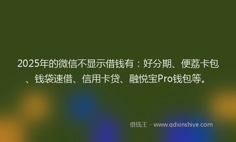 2025年的微信不显示借钱有：好分期、便荔卡包、钱袋速借、信用卡贷、融悦宝Pro钱包等。