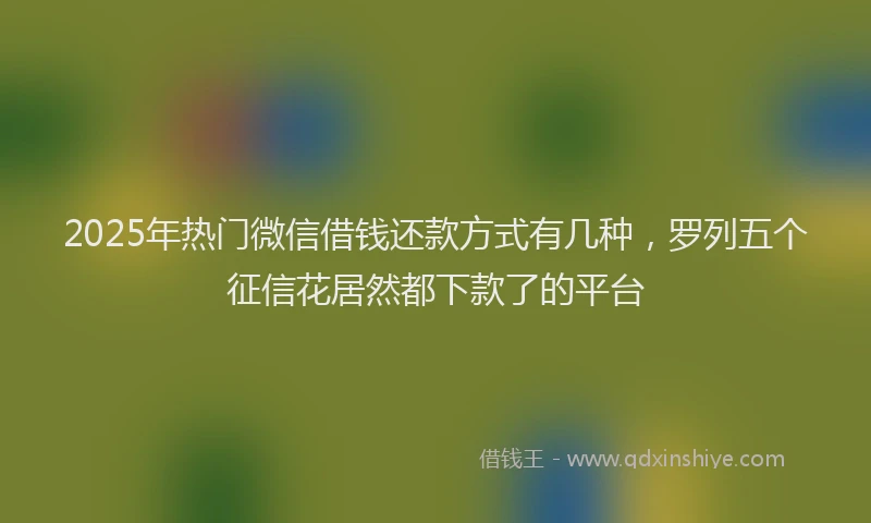 2025年热门微信借钱还款方式有几种，罗列五个征信花居然都下款了的平台