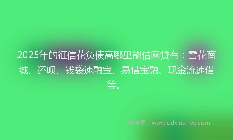 2025年的征信花负债高哪里能借网贷有：雪花商城、还呗、钱袋速融宝、易借宝融、现金流速借等。