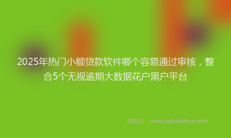 2025年热门小额贷款软件哪个容易通过审核，整合5个无视逾期大数据花户黑户平台