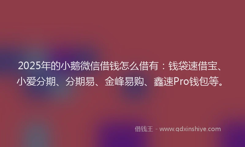 2025年的小鹅微信借钱怎么借有：钱袋速借宝、小爱分期、分期易、金峰易购、鑫速Pro钱包等。