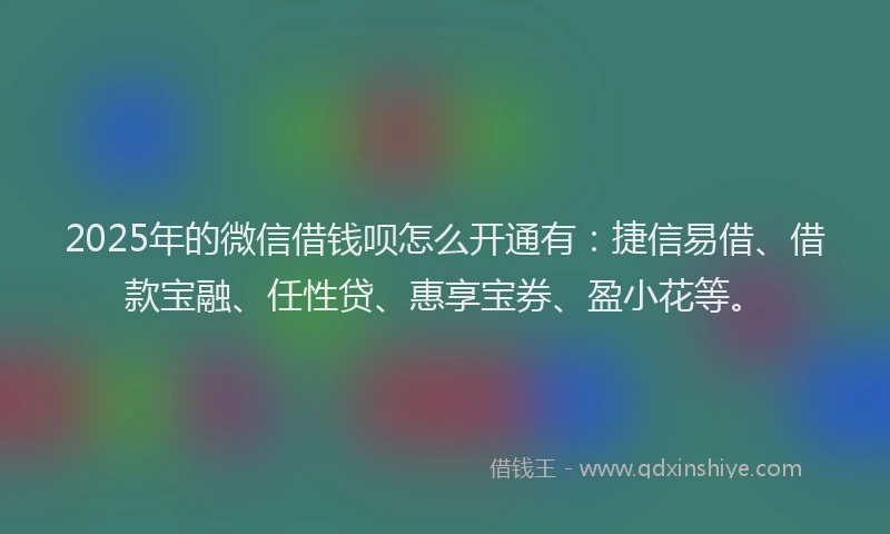 2025年的微信借钱呗怎么开通有:捷信易借、借款宝融、任性贷、惠享宝券、盈小花等。