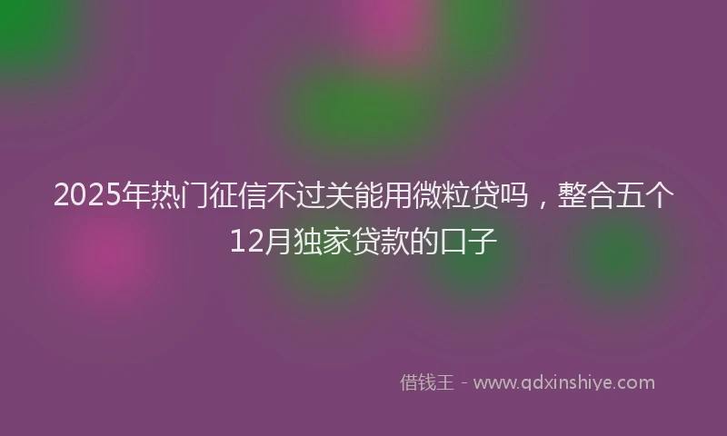 2025年热门征信不过关能用微粒贷吗，整合五个12月独家贷款的口子