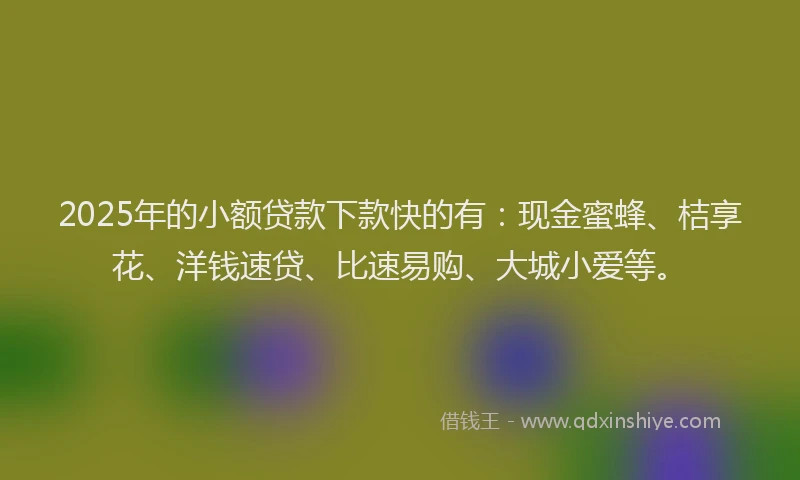 2025年的小额贷款下款快的有：现金蜜蜂、桔享花、洋钱速贷、比速易购、大城小爱等。