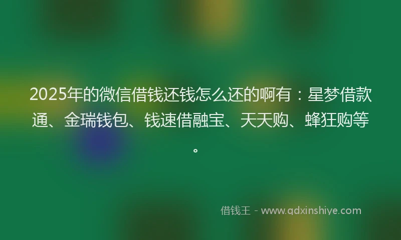 2025年的微信借钱还钱怎么还的啊有：星梦借款通、金瑞钱包、钱速借融宝、天天购、蜂狂购等。