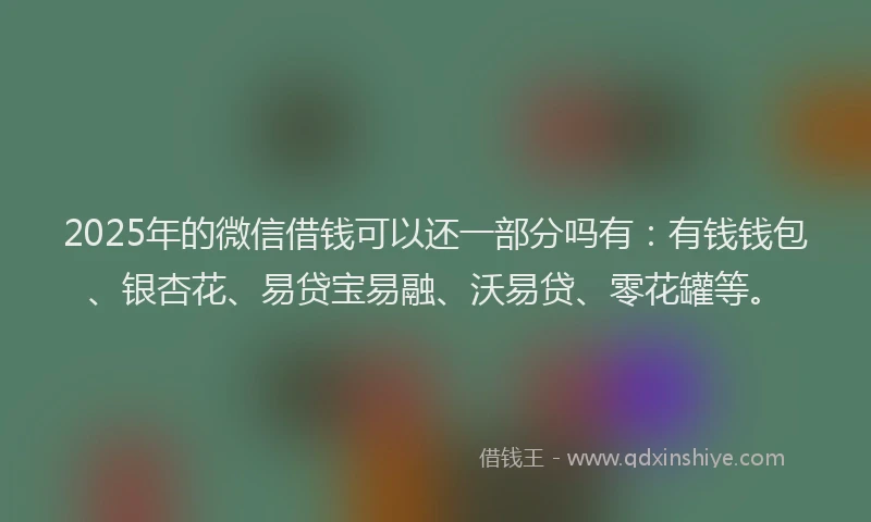 2025年的微信借钱可以还一部分吗有：有钱钱包、银杏花、易贷宝易融、沃易贷、零花罐等。