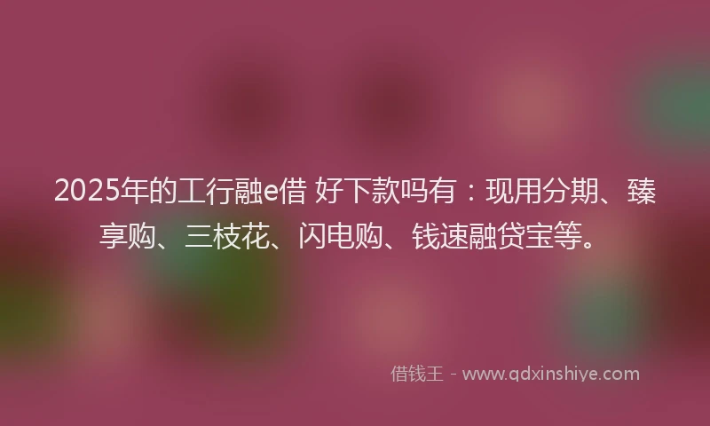 2025年的工行融e借 好下款吗有：现用分期、臻享购、三枝花、闪电购、钱速融贷宝等。