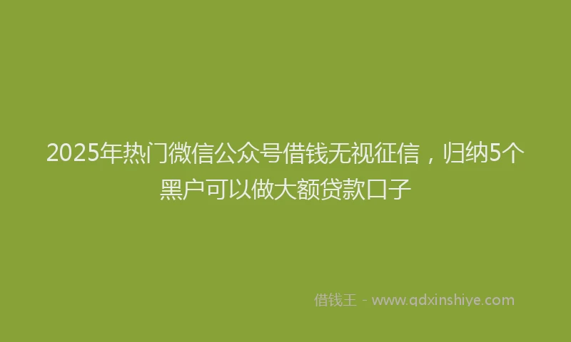 2025年热门微信公众号借钱无视征信，归纳5个黑户可以做大额贷款口子