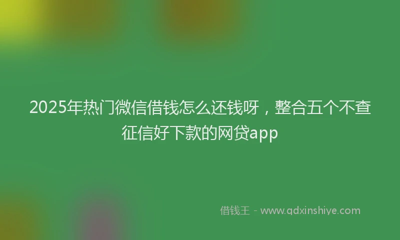 2025年热门微信借钱怎么还钱呀，整合五个不查征信好下款的网贷app
