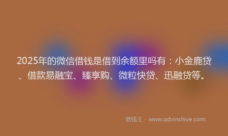 2025年的微信借钱是借到余额里吗有：小金鹿贷、借款易融宝、臻享购、微粒快贷、迅融贷等。