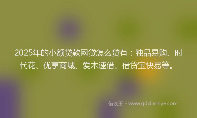 2025年的小额贷款网贷怎么贷有：独品易购、时代花、优享商城、爱木速借、借贷宝快易等。