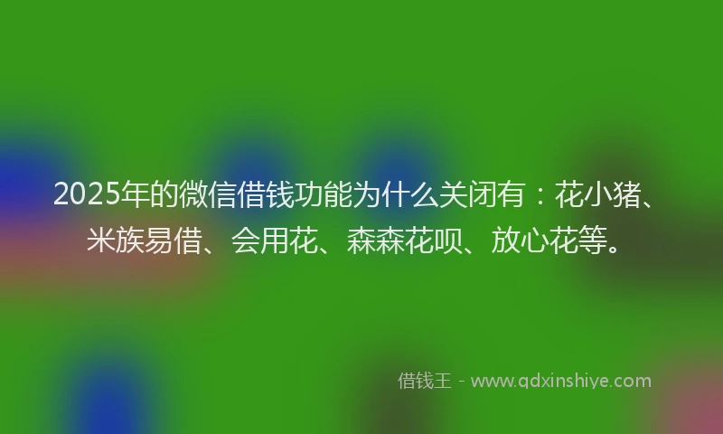2025年的微信借钱功能为什么关闭有：花小猪、米族易借、会用花、森森花呗、放心花等。