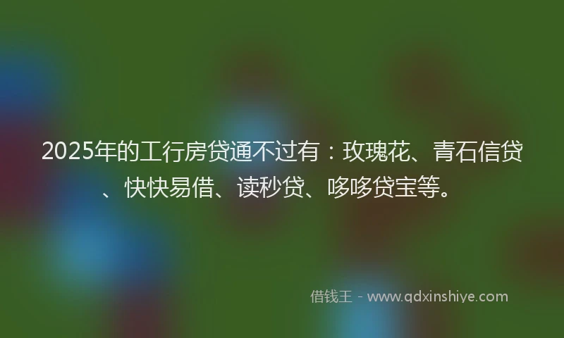 2025年的工行房贷通不过有：玫瑰花、青石信贷、快快易借、读秒贷、哆哆贷宝等。