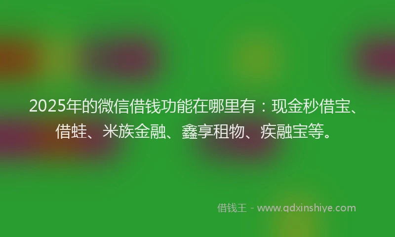 2025年的微信借钱功能在哪里有：现金秒借宝、借蛙、米族金融、鑫享租物、疾融宝等。