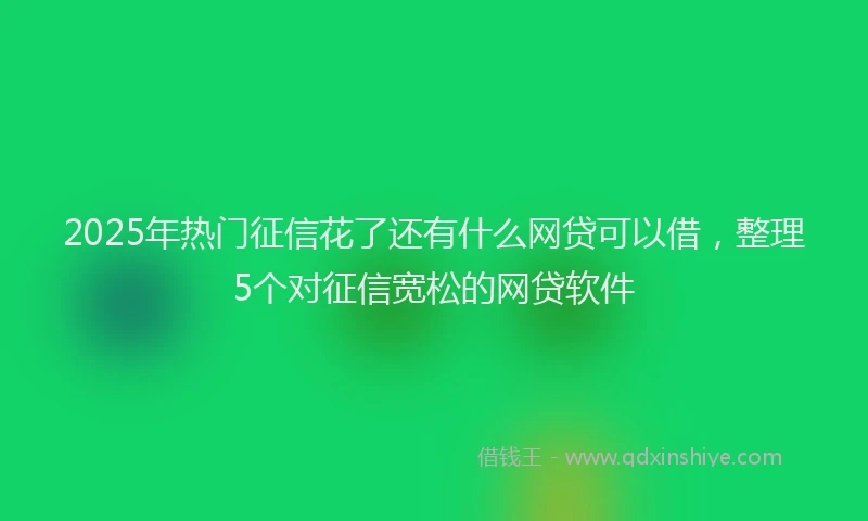 2025年热门征信花了还有什么网贷可以借，整理5个对征信宽松的网贷软件