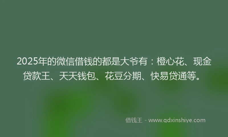 2025年的微信借钱的都是大爷有：橙心花、现金贷款王、天天钱包、花豆分期、快易贷通等。