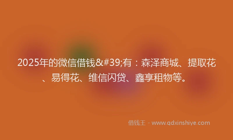 2025年的微信借钱'有：森泽商城、提取花、易得花、维信闪贷、鑫享租物等。