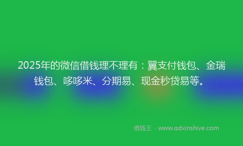 2025年的微信借钱理不理有：翼支付钱包、金瑞钱包、哆哆米、分期易、现金秒贷易等。