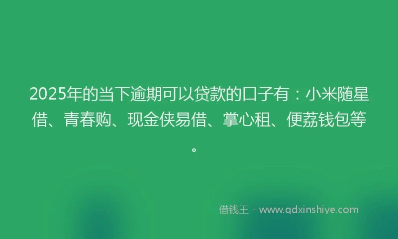 2025年的当下逾期可以贷款的口子有：小米随星借、青春购、现金侠易借、掌心租、便荔钱包等。