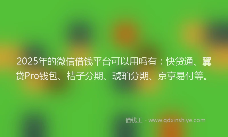 2025年的微信借钱平台可以用吗有：快贷通、翼贷Pro钱包、桔子分期、琥珀分期、京享易付等。