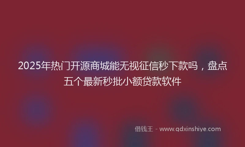 2025年热门开源商城能无视征信秒下款吗，盘点五个最新秒批小额贷款软件