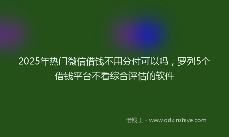 2025年热门微信借钱不用分付可以吗，罗列5个借钱平台不看综合评估的软件
