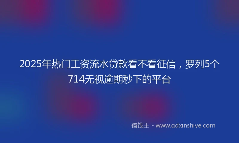 2025年热门工资流水贷款看不看征信，罗列5个714无视逾期秒下的平台