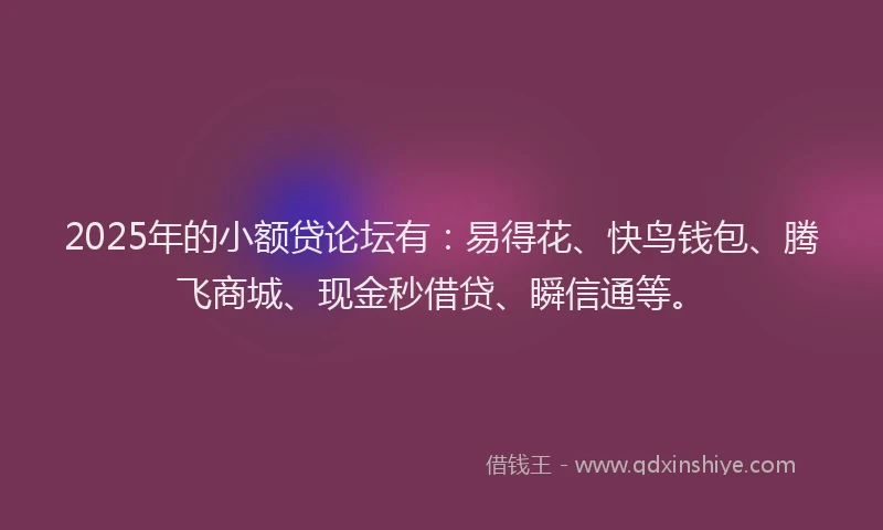 2025年的小额贷论坛有：易得花、快鸟钱包、腾飞商城、现金秒借贷、瞬信通等。