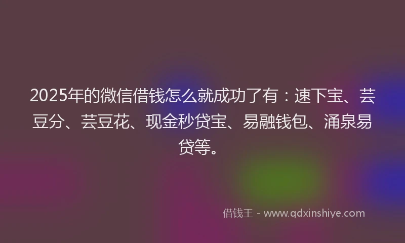 2025年的微信借钱怎么就成功了有：速下宝、芸豆分、芸豆花、现金秒贷宝、易融钱包、涌泉易贷等。