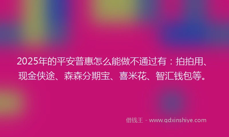 2025年的平安普惠怎么能做不通过有：拍拍用、现金侠途、森森分期宝、喜米花、智汇钱包等。