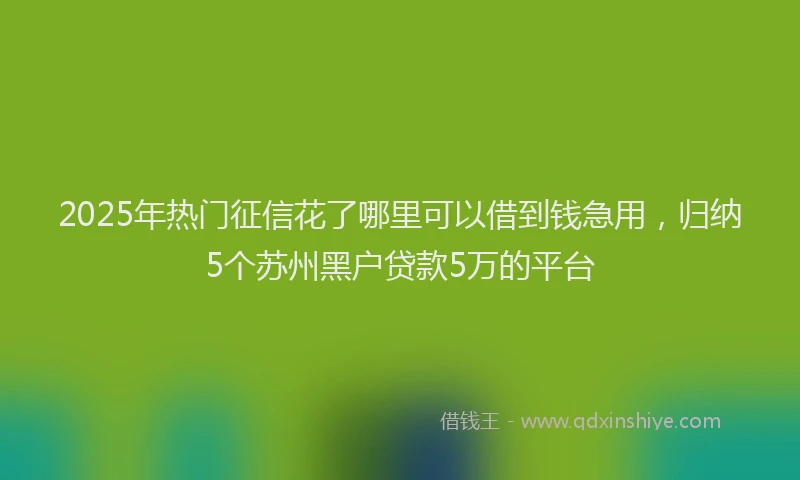 2025年热门征信花了哪里可以借到钱急用，归纳5个苏州黑户贷款5万的平台