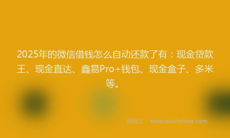 2025年的微信借钱怎么自动还款了有:现金贷款王、现金直达、鑫易Pro+钱包、现金盒子、多米等。