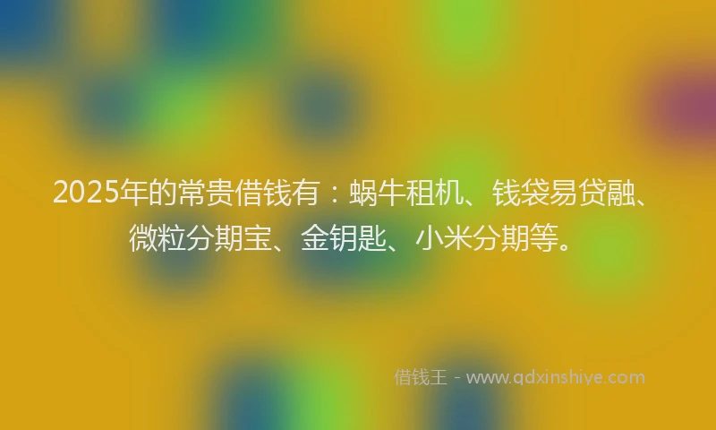 2025年的常贵借钱有：蜗牛租机、钱袋易贷融、微粒分期宝、金钥匙、小米分期等。
