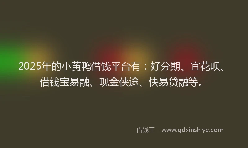 2025年的小黄鸭借钱平台有：好分期、宜花呗、借钱宝易融、现金侠途、快易贷融等。