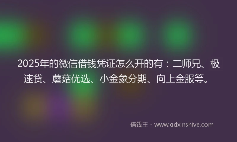 2025年的微信借钱凭证怎么开的有：二师兄、极速贷、蘑菇优选、小金象分期、向上金服等。