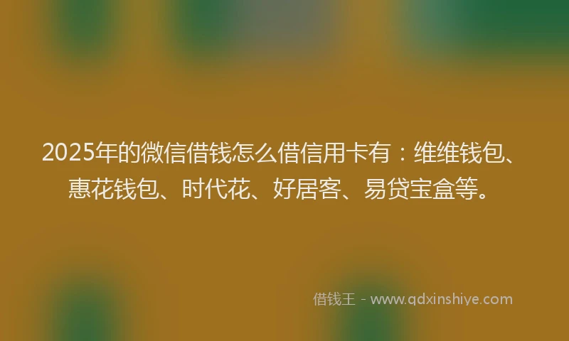 2025年的微信借钱怎么借信用卡有：维维钱包、惠花钱包、时代花、好居客、易贷宝盒等。