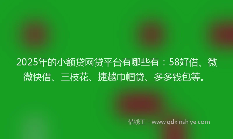2025年的小额贷网贷平台有哪些有：58好借、微微快借、三枝花、捷越巾帼贷、多多钱包等。