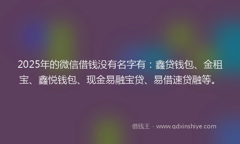 2025年的微信借钱没有名字有：鑫贷钱包、金租宝、鑫悦钱包、现金易融宝贷、易借速贷融等。