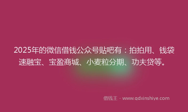 2025年的微信借钱公众号贴吧有：拍拍用、钱袋速融宝、宝盈商城、小麦粒分期、功夫贷等。