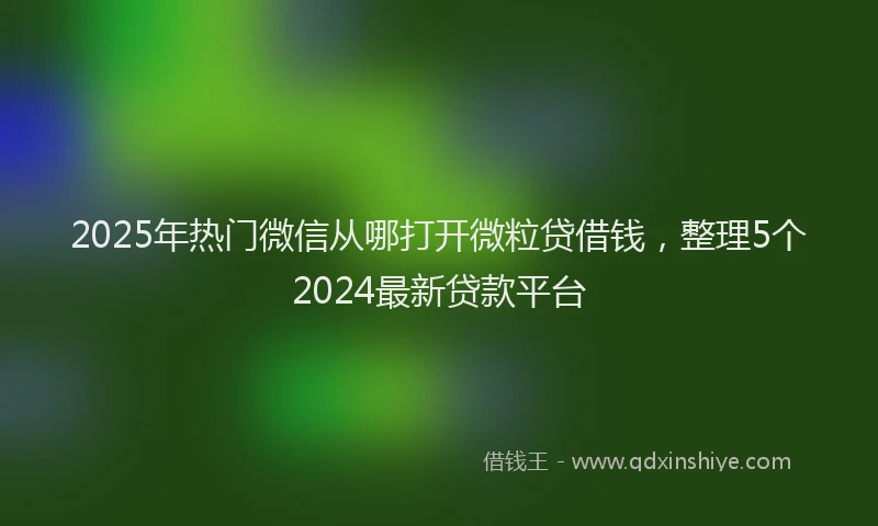 2025年热门微信从哪打开微粒贷借钱,整理5个2024最新贷款平台