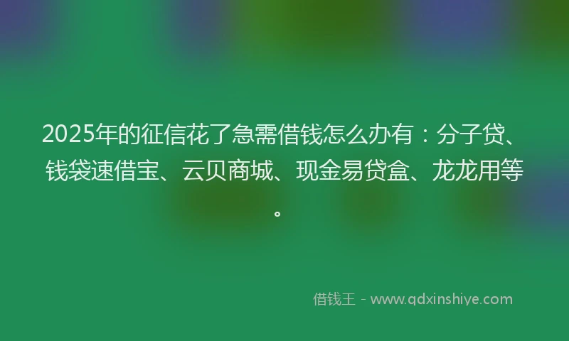 2025年的征信花了急需借钱怎么办有：分子贷、钱袋速借宝、云贝商城、现金易贷盒、龙龙用等。