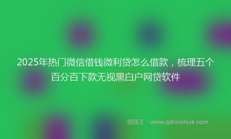 2025年热门微信借钱微利贷怎么借款，梳理五个百分百下款无视黑白户网贷软件
