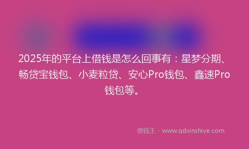 2025年的平台上借钱是怎么回事有：星梦分期、畅贷宝钱包、小麦粒贷、安心Pro钱包、鑫速Pro钱包等。
