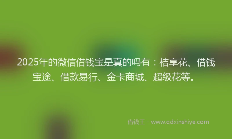 2025年的微信借钱宝是真的吗有：桔享花、借钱宝途、借款易行、金卡商城、超级花等。