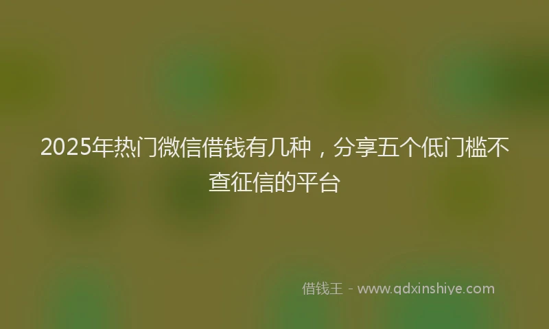 2025年热门微信借钱有几种，分享五个低门槛不查征信的平台