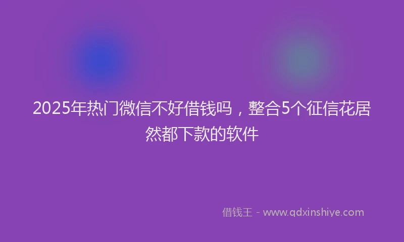 2025年热门微信不好借钱吗，整合5个征信花居然都下款的软件