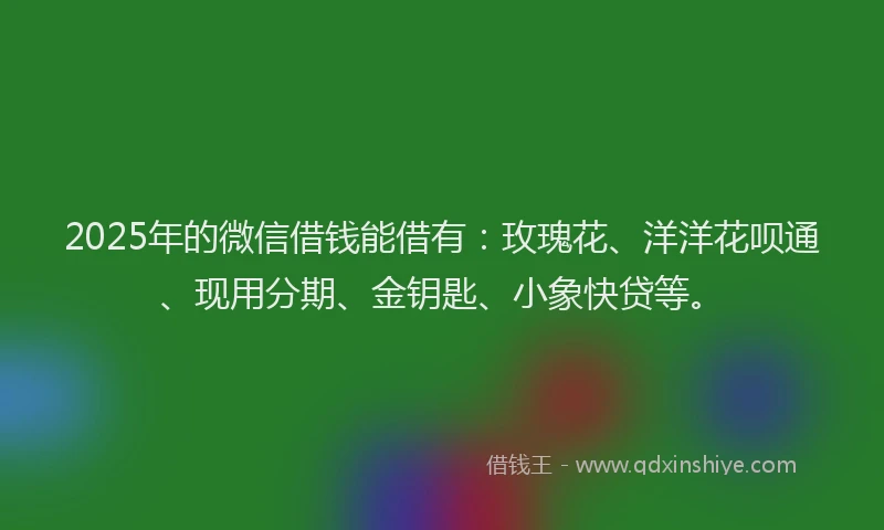 2025年的微信借钱能借有：玫瑰花、洋洋花呗通、现用分期、金钥匙、小象快贷等。